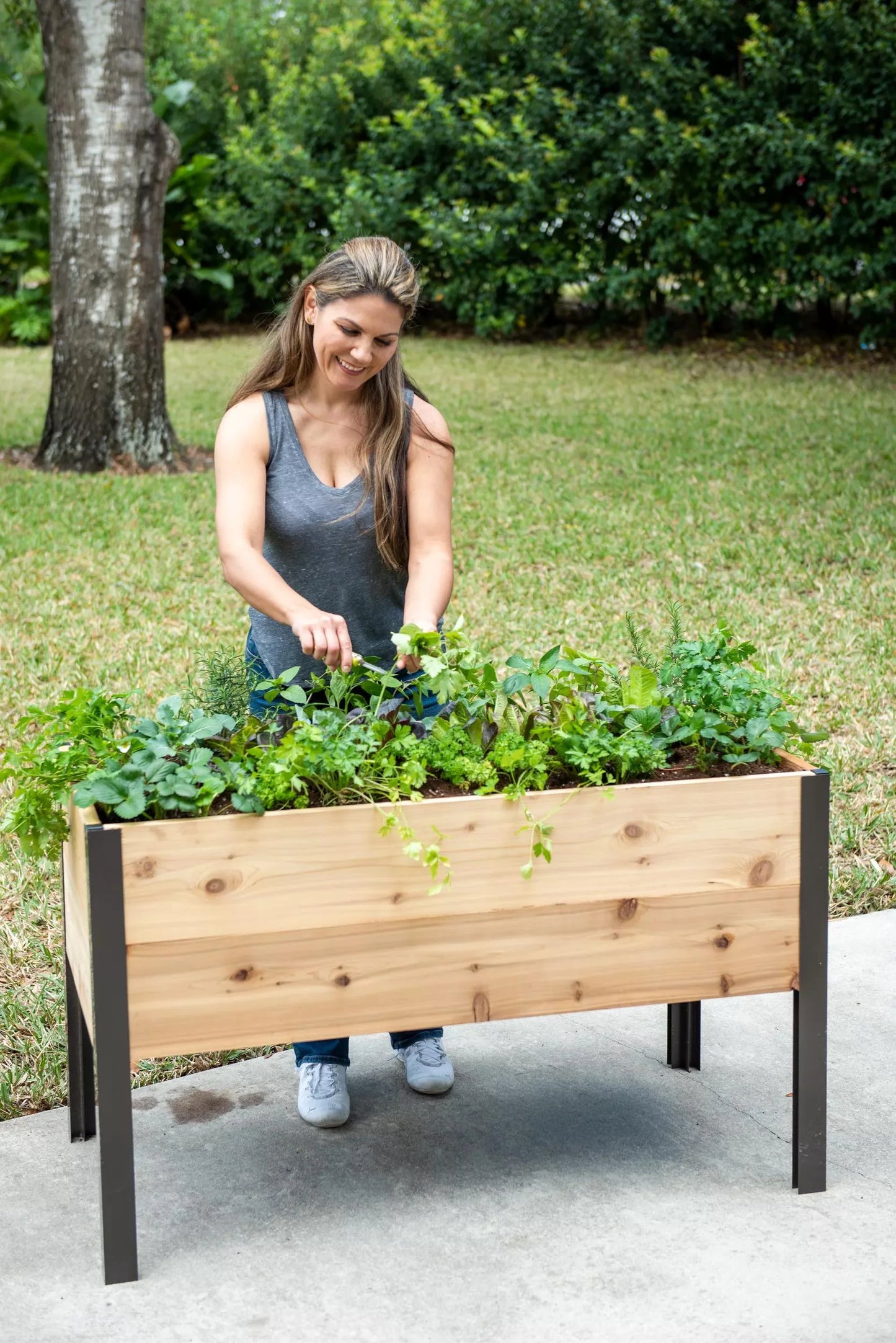 2026 Nuevo Self-Watering Elevated Cedar Planter Box 2 x 4