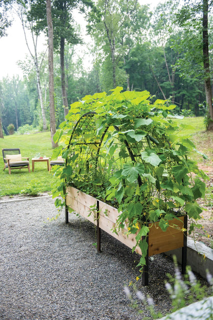 2026 Nuevo Elevated Cedar Planter Box 2 x 8