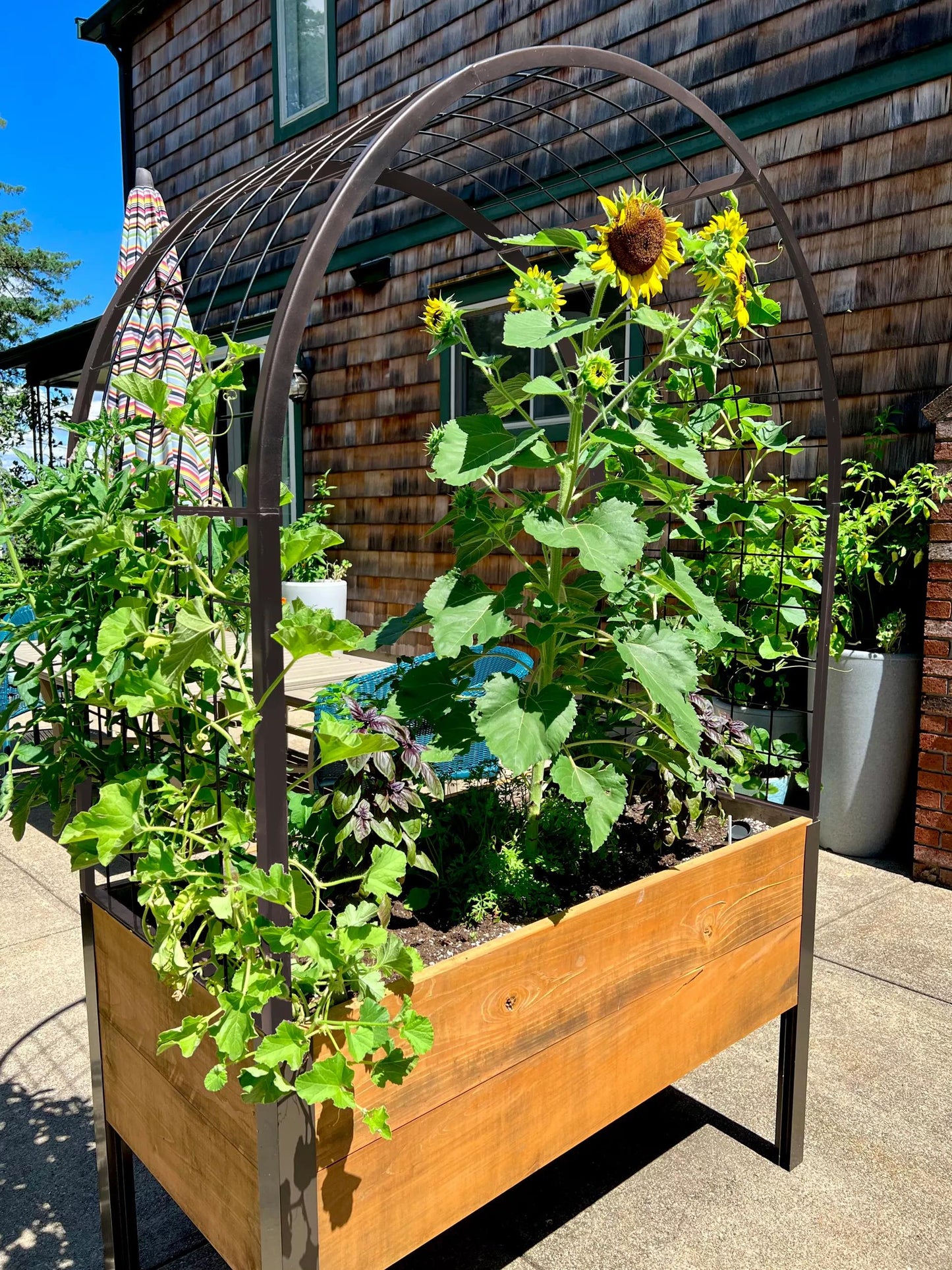 2026 Nuevo Self-Watering Elevated Cedar Planter Box 2 x 4