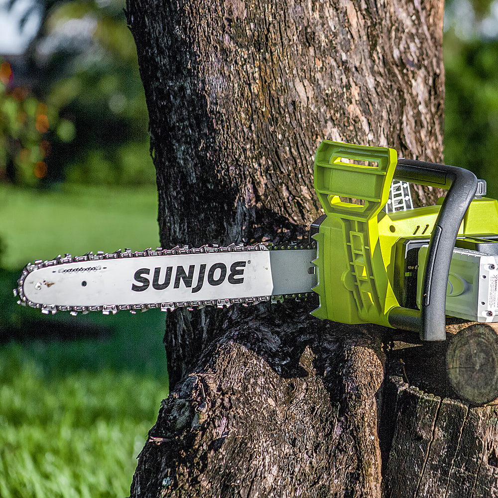 2026 Nuevo Sun Joe 48-Volt iON+ motosierra inalámbrica de 16 pulgadas con funda (2 baterías de 2Ah y 1 cargador) verde