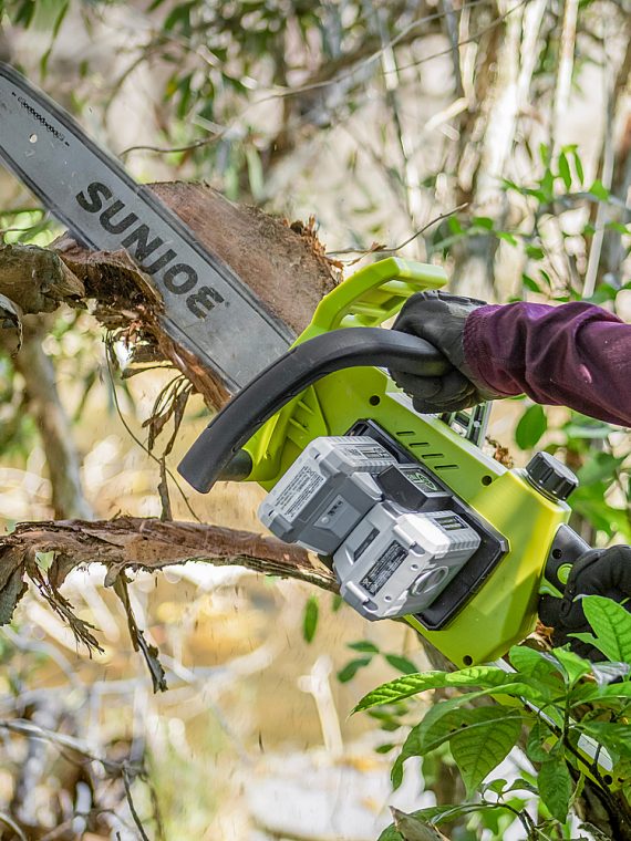 2026 Nuevo Sun Joe 48-Volt iON+ motosierra inalámbrica de 16 pulgadas con funda (2 baterías de 2Ah y 1 cargador) verde