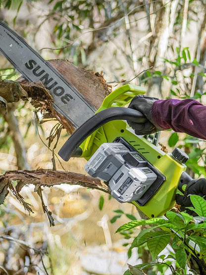 2026 Nuevo Sun Joe 48-Volt iON+ motosierra inalámbrica de 16 pulgadas con funda (2 baterías de 2Ah y 1 cargador) verde