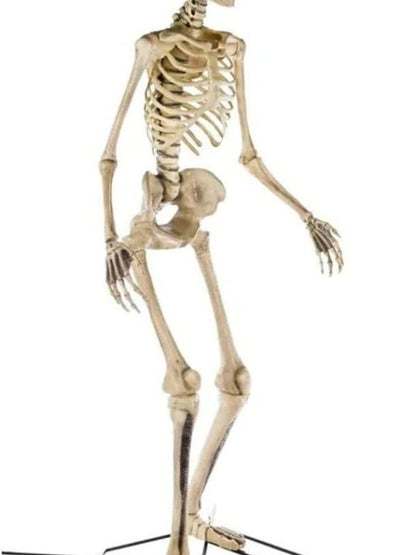 2026 Nuevo esqueleto gigante de 12 pies para decoración de Halloween con ojos LifeEyes